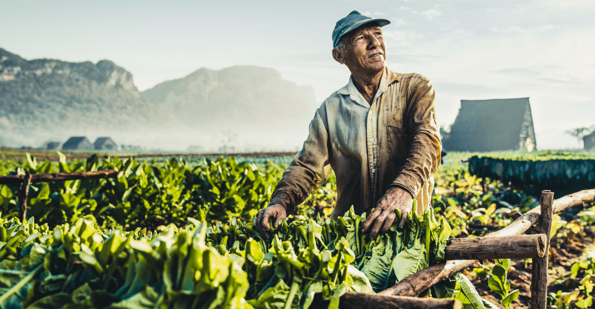 Второй выпуск «Школы фермера»